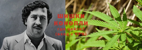 амф Михайловск