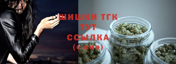 амф Михайловск