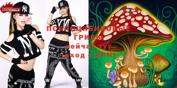 дурь Михайловка