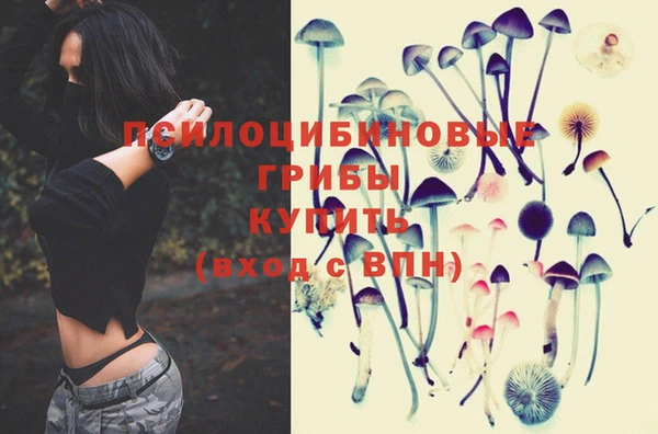 2c-b Навашино