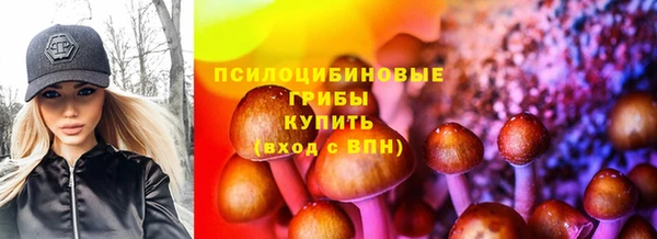 амф Михайловск