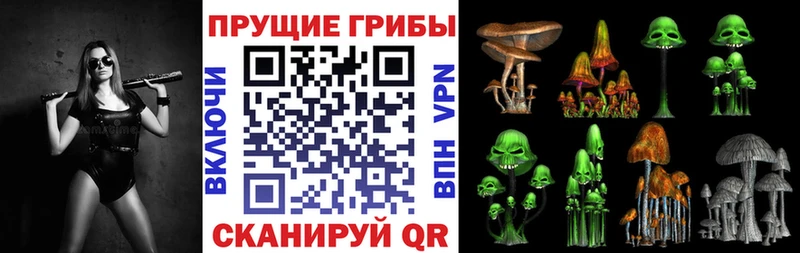 Галлюциногенные грибы мицелий  купить  цена  Трубчевск 